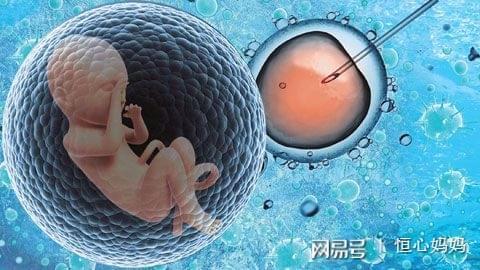 包生男孩咨询